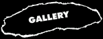 Photo Gallery
